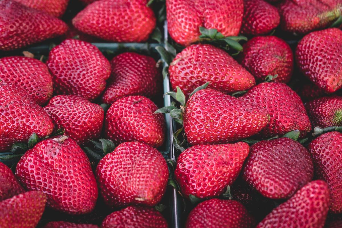 Detaljbild, exempel på redaktionellt foto